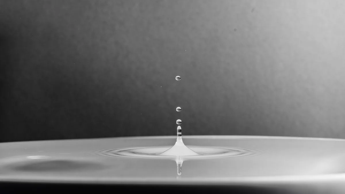 A high-definition macro shot capturing a water drop splash in black and white.